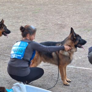 Weidenstrasse at the Momenta NO FRILLS Breed Show